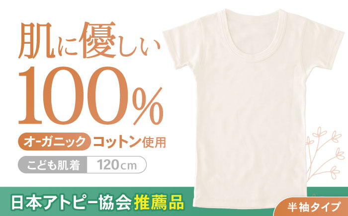 オーガニックコットンこども肌着半袖(120cmサイズ)・日本アトピー協会推薦品 / シャツ 新生児用 赤ちゃん 綿 コットン / 諫早市 / 株式会社美泉 [AHAP023]