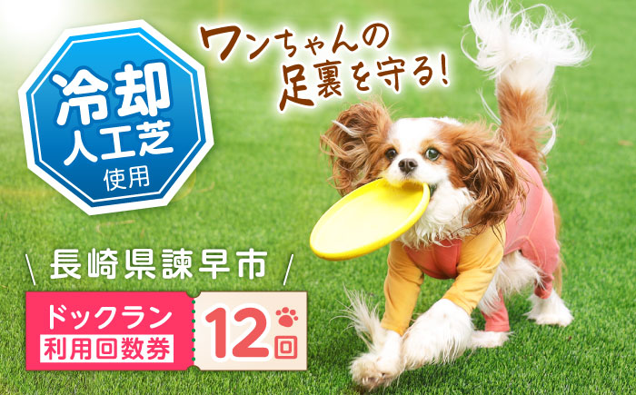 ドッグラン利用券(12回分) / ドッグラン 犬 施設 利用券 利用チケット 回数券 ペット / 諫早市 / 株式会社美泉 [AHAP042]