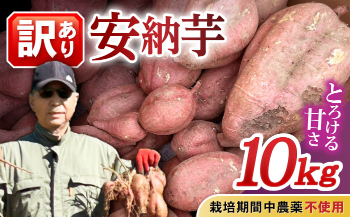 【訳あり】栽培期間中農薬不使用 安納芋 10kg / いも イモ 芋 さつまいも サツマイモ 安納芋 野菜 スイーツ / ふるさと有明ファーム [AHAQ001]