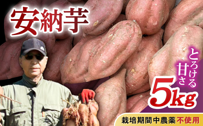 栽培期間中農薬不使用 安納芋 5kg / いも イモ 芋 さつまいも さつま芋 サツマイモ 安納芋 スイーツ / 諫早市 / ふるさと有明ファーム [AHAQ003]