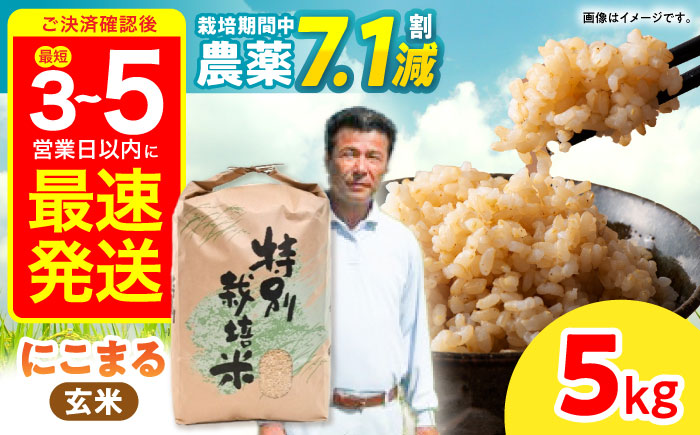 【R7年産】九州のこだわり「にこまる」玄米 5kg / 米 こめ お米 おこめ 玄米 げんまい にこまる ニコマル 長崎県産 / 諫早市 / 上島農産 [AHAS013]