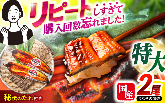 【年内配送】(12/23入金分まで)＜諫早淡水＞特大うなぎ蒲焼2尾 / うなぎ ウナギ 鰻 特大 蒲焼き ウナギ蒲焼 国産 冷凍 うな重 うな丼 ウナギ ひつまぶし / 諫早市 / 諫早淡水株式会社 [AHAT014]