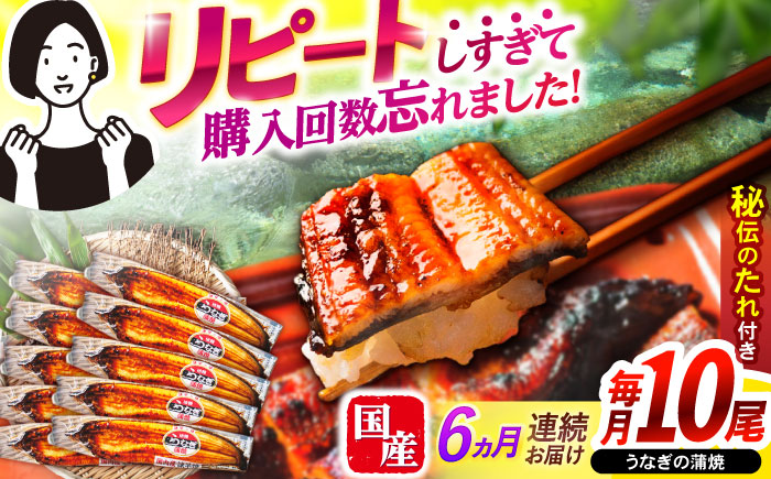 【6回定期便】【諫早淡水】うなぎ蒲焼10尾 / うなぎ ウナギ 鰻 蒲焼 たれ 老舗 / 諫早市 / 諫早淡水株式会社 [AHAT022]