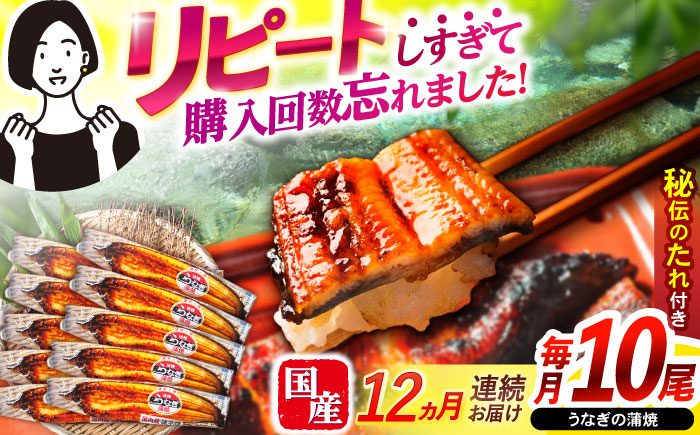 【12回定期便】【諫早淡水】うなぎ蒲焼10尾 / うなぎ ウナギ 鰻 蒲焼 たれ 老舗 / 諫早市 / 諫早淡水株式会社 [AHAT023]