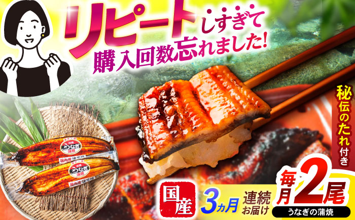 【3回定期便】【諫早淡水】うなぎ蒲焼2尾 / うなぎ ウナギ 鰻 国産うなぎ 国産鰻 蒲焼き 蒲焼 かばやき うな重 うな丼 / 諫早市 / 諫早淡水株式会社 [AHAT024]