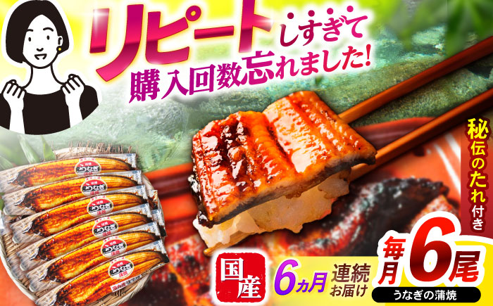 【6回定期便】【諫早淡水】うなぎ蒲焼6尾 / うなぎ ウナギ 鰻 国産うなぎ 国産鰻 蒲焼き 蒲焼 かばやき うな重 うな丼 / 諫早市 / 諫早淡水株式会社 [AHAT037]