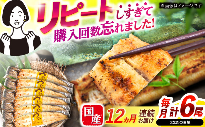 【12回定期便】【諫早淡水】うなぎ白焼き6尾  / うなぎ 白焼き 栄養価 小分け 冷凍 / 諫早市 / 諫早淡水 [AHAT053]