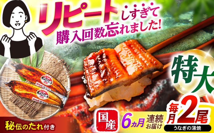 【6回定期便】【諫早淡水】特大うなぎ蒲焼2尾 / 特大 うなぎ ウナギ 鰻 国産うなぎ 国産鰻 蒲焼き 蒲焼 かばやき うな重 うな丼 / 諫早市 / 諫早淡水株式会社 [AHAT055]