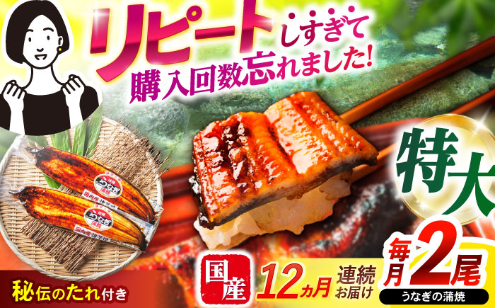 【12回定期便】【諫早淡水】特大うなぎ蒲焼2尾 / 特大 うなぎ ウナギ 鰻 国産うなぎ 国産鰻 蒲焼き 蒲焼 かばやき うな重 うな丼 / 諫早市 / 諫早淡水株式会社 [AHAT056]