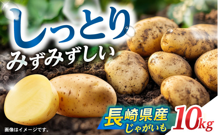 諫早産じゃがいも 10kg / じゃがいも ジャガイモ いも イモ 芋 野菜 やさい 10kg / 諫早市 / 松尾農園 [AHAY031]