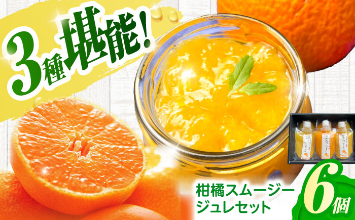 柑橘スムージージュレセット(6個入り) / スムージー ジュレ ゼリー 柑橘 / 諫早市 / 圭昭園 [AHAZ004]