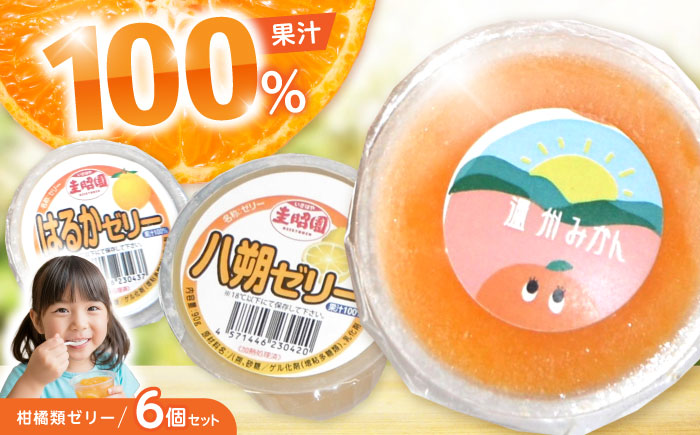 柑橘類ゼリー (2個×3種) 6個セット / ゼリー ぜりー 果汁ゼリー 柑橘 八朔 温州みかん はるか / 諫早市 / 圭昭園　 [AHAZ010]