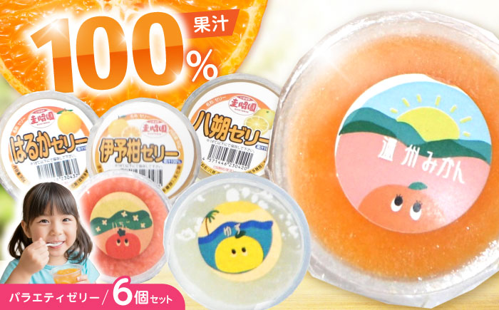 バラエティゼリー 6個セット / ゼリー ぜりー 果汁ゼリー 柑橘 八朔 スイートスプリング はるか いちご ゆず 温州みかん / 諫早市 / 圭昭園　 [AHAZ011]