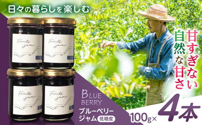 ブルーベリージャム4本SET / ブルーベリー ジャム パン フルーツ / 諫早市 / のんびり山 [AHBA002]