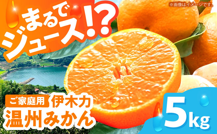 伊木力温州みかん5kg(ご家庭用、箱入り) / 伊木力 温州みかん みかん ミカン 蜜柑 佐瀬 諫早 多良見 長崎 / 末永果樹園 [AHBD003]