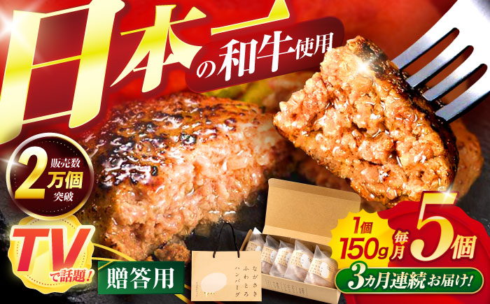 【3回定期便】ながさきふわとろハンバーグ 150g×5個入 【贈答用】 / ハンバーグ はんばーぐ 肉 牛肉 豚肉 おかず 惣菜 定期便 / 諌早市 / ワールド・ミート有限会社 [AHBG002]