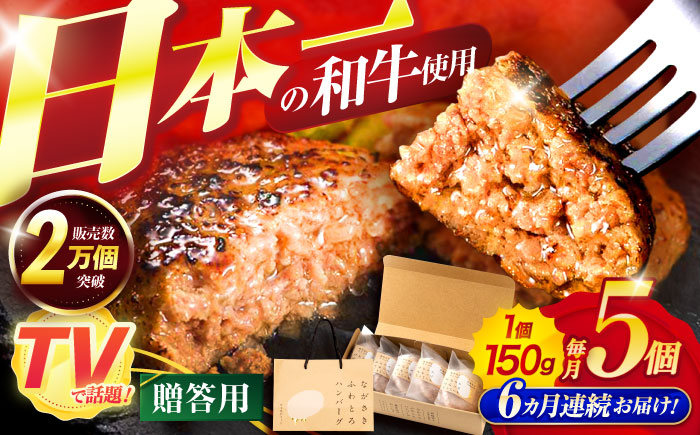 【6回定期便】ながさきふわとろハンバーグ 150g×5個入 【贈答用】 / ハンバーグ はんばーぐ 肉 牛肉 豚肉 おかず 惣菜 定期便 / 諌早市 / ワールド・ミート有限会社 [AHBG003]
