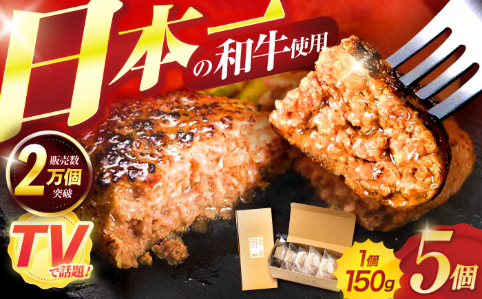 【年内配送】(12/23入金分まで)ながさきふわとろハンバーグ 150g×5個入 / ハンバーグ はんばーぐ 肉 牛肉 豚肉 おかず 惣菜 / 諌早市 / ワールド・ミート有限会社 [AHBG005]