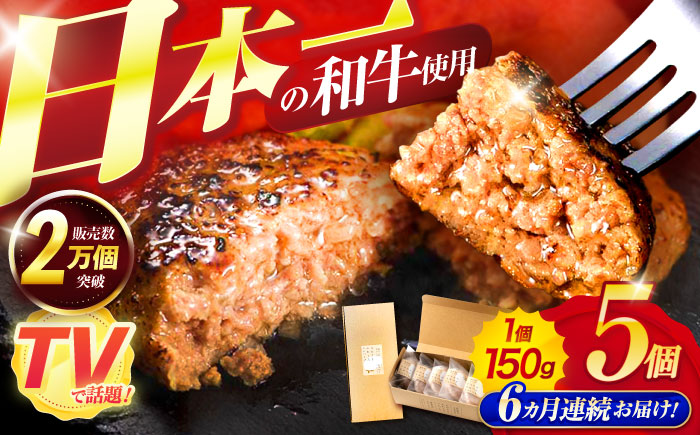 【6回定期便】ながさきふわとろハンバーグ 150g×5個入 / ハンバーグ はんばーぐ 肉 牛肉 豚肉 おかず 惣菜 定期便 / 諌早市 / ワールド・ミート有限会社 [AHBG007]