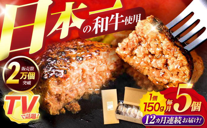 【12回定期便】ながさきふわとろハンバーグ 150g×5個入 / ハンバーグ はんばーぐ 肉 牛肉 豚肉 おかず 惣菜 定期便 / 諌早市 / ワールド・ミート有限会社 [AHBG008]