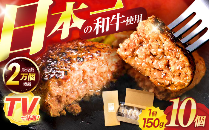 【年内配送】(12/23入金分まで)ながさきふわとろハンバーグ 150g×10個入 / ハンバーグ はんばーぐ 肉 牛肉 豚肉 おかず 惣菜 / 諌早市 / ワールド・ミート有限会社 [AHBG009]