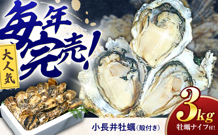 <先行予約>小長井牡蠣（殻付き）3kg 牡蠣ナイフ付き / かき カキ 牡蠣 海鮮 / 諫早湾漁業協同組合 [AHBJ005]