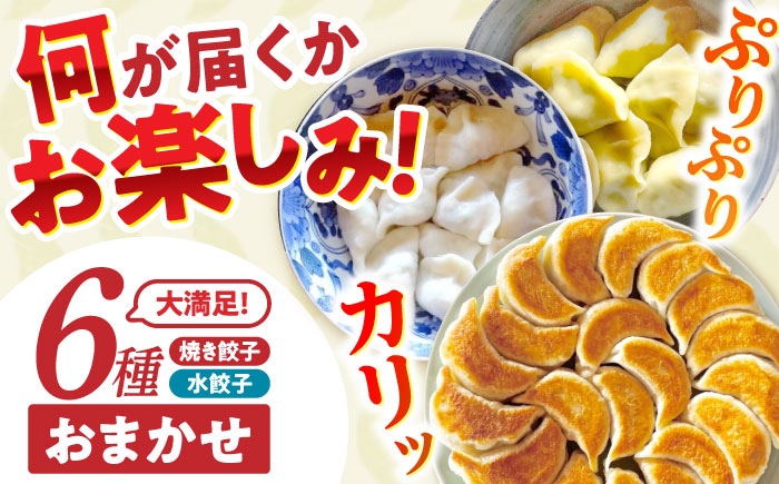 餃子 6種おまかせ便 / ギョウザ ぎょうざ 餃子 焼餃子 水餃子 冷凍 / 諫早市 / 餃子のかわしも [AHBM005]
