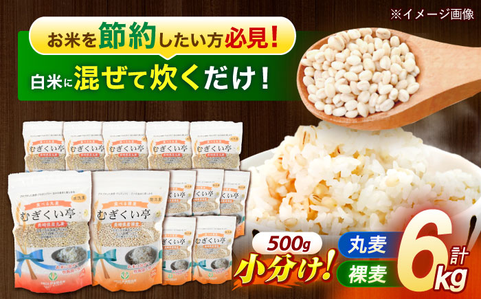 【諫早市市制施行20周年特別企画】むぎくい亭 (丸麦500g×6・裸麦500g×6) 計6kg / 麦 丸麦 はだか麦 裸麦 麦味噌 雑穀 雑穀米 食物繊維 長崎県産 米 こめ コメ ※ / 諫早市 / 有限会社伊東精麦  [AHBU002]