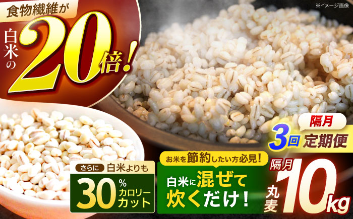 【隔月3回定期便】長崎県産 丸麦 10kg / 麦 むぎ 雑穀 雑穀米 麦ごはん 麦飯 麦みそ 食物繊維 長崎県産 米 こめ コメ ※ / 諫早市 / 有限会社伊東精麦 [AHBU006]