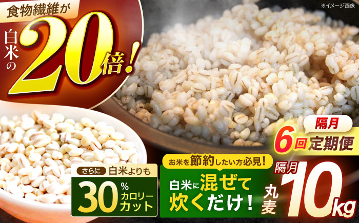 【隔月6回定期便】長崎県産 丸麦 10kg / 麦 むぎ 雑穀 雑穀米 麦ごはん 麦飯 麦みそ 食物繊維 長崎県産 米 こめ コメ ※ / 諫早市 / 有限会社伊東精麦 [AHBU007]