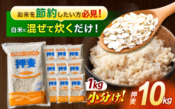 押麦「長崎御島」1kg×10袋 計10kg / 麦 むぎ 押麦 はだか麦 麦味噌 雑穀 雑穀米 食物繊維 長崎県産 米 こめ コメ ※ / 諫早市 / 有限会社伊東精麦 [AHBU009]