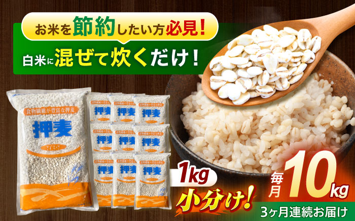 【3回定期便】押麦「長崎御島」1kg×10袋 計10kg / 麦 むぎ 押麦 はだか麦 麦味噌 雑穀 雑穀米 食物繊維 小分け 長崎県産 米 こめ コメ ※ / 諫早市 / 有限会社伊東精麦 [AHBU010]