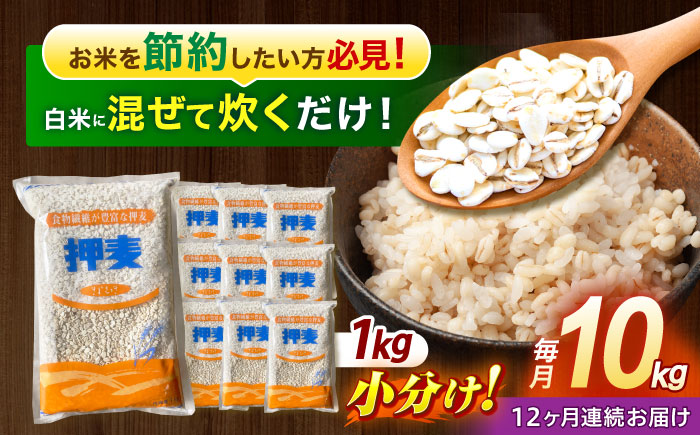【12回定期便】 押麦「長崎御島」1kg×10袋 計10kg / 麦 むぎ 押麦 はだか麦 麦味噌 雑穀 雑穀米 食物繊維 小分け 長崎県産 米 こめ コメ ※ / 諫早市 / 有限会社伊東精麦 [AHBU012]
