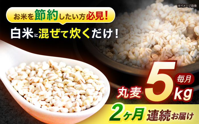 【2回定期便】長崎県産 丸麦 5kg / 麦 むぎ 雑穀 雑穀米 麦ごはん 麦飯 麦みそ 食物繊維 / 諫早市 / 有限会社伊東精麦 [AHBU013]