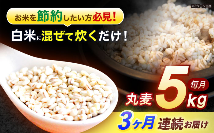 【3回定期便】長崎県産 丸麦 5kg / 麦 むぎ 雑穀 雑穀米 麦ごはん 麦飯 麦みそ 食物繊維 / 諫早市 / 有限会社伊東精麦 [AHBU014]