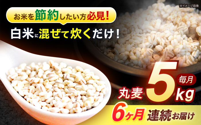 【6回定期便】長崎県産 丸麦 5kg / 麦 むぎ 雑穀 雑穀米 麦ごはん 麦飯 麦みそ 食物繊維 / 諫早市 / 有限会社伊東精麦 [AHBU015]