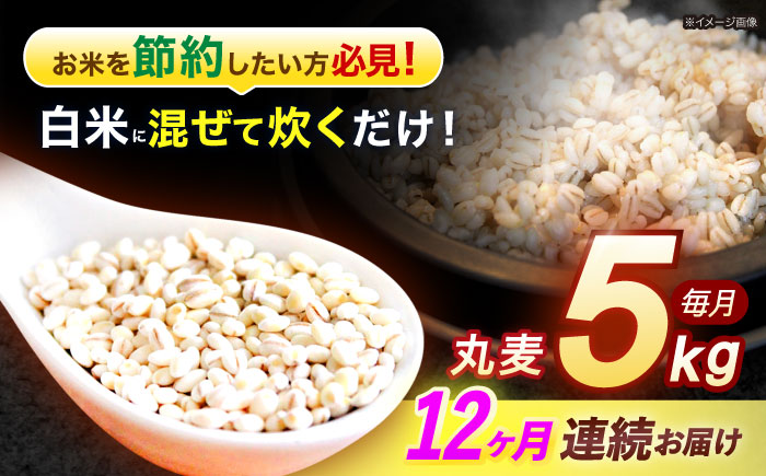 【12回定期便】長崎県産 丸麦 5kg / 麦 むぎ 雑穀 雑穀米 麦ごはん 麦飯 麦みそ 食物繊維 / 諫早市 / 有限会社伊東精麦 [AHBU016]