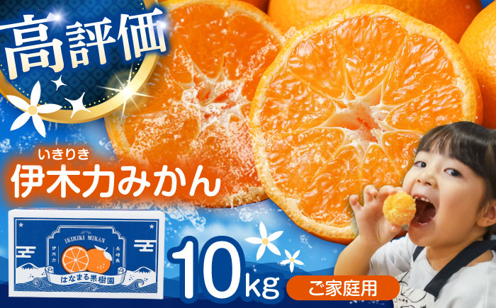 【諫早市市制施行20周年特別企画】伊木力みかん (家庭用) 10kg / みかん ミカン 蜜柑 オレンジ フルーツ 果物 柑橘 / 諫早市 / 山野果樹園 [AHCF001]