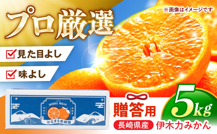 伊木力みかん 「はなまるみかん」(贈答用) 5kg / 伊木力みかん みかん 蜜柑 ミカン 柑橘 果物 フルーツ / 諫早市 / 株式会社山野果樹園 [AHCF003]