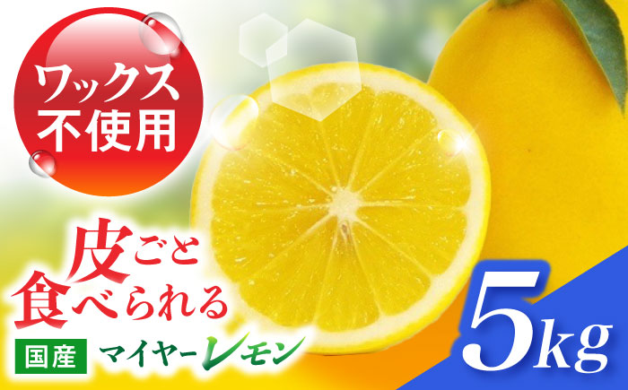 マイヤーレモン 5kg / レモン れもん 檸檬 フルーツ 果物 / 諫早市 / 山野果樹園 [AHCF004]
