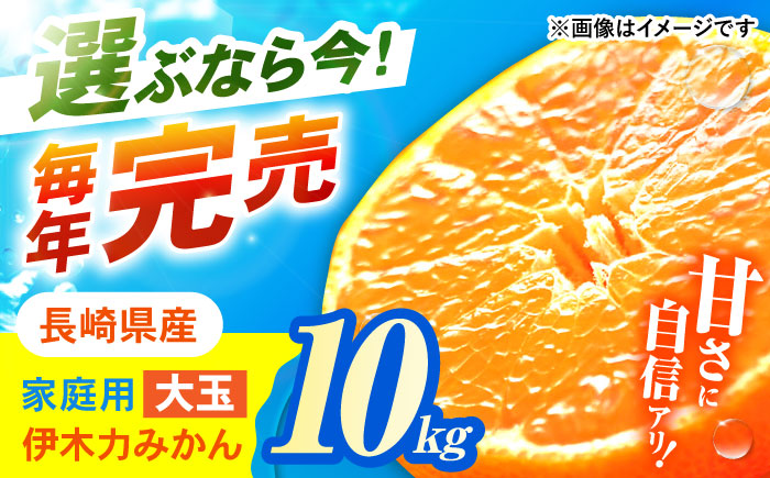 伊木力みかん(大玉) 10kg / みかん ミカン 蜜柑 フルーツ 果物 / 諫早市 / 山野果樹園 [AHCF005]