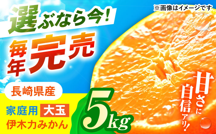 伊木力みかん (大玉) 5kg / みかん ミカン 蜜柑 柑橘 フルーツ ふるーつ 果物 くだもの / 諫早市 / 山野果樹園 [AHCF007]