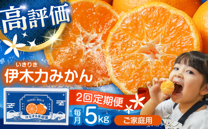 【2回定期便】※【11月より発送／先行予約】 伊木力みかん (家庭用) 5kg / みかん ミカン 蜜柑 柑橘 フルーツ ふるーつ 果物 くだもの / 諫早市 / 山野果樹園 [AHCF008]