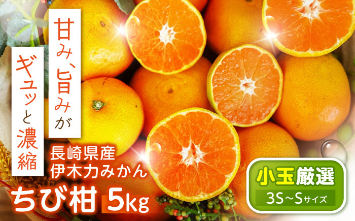 伊木力みかん(ちび柑) 5kg / みかん s みかんsサイズ ミカン 蜜柑 柑橘 フルーツ ふるーつ 果物 くだもの / 諫早市 / 山野果樹園 [AHCF013]