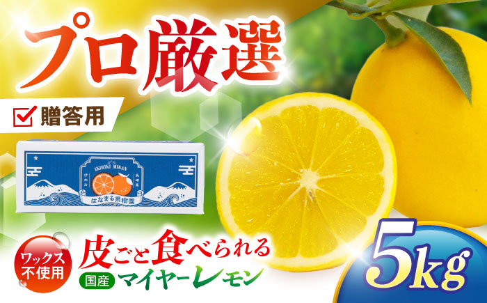 【贈答用】マイヤーレモン 5kg / レモン れもん 檸檬 果汁 柑橘 フルーツ ふるーつ 果物 くだもの / 諫早市 / 山野果樹園 [AHCF014]