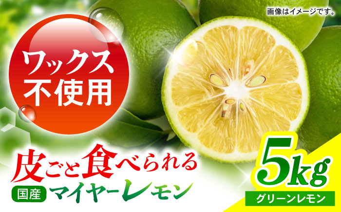 ※【2026年9月上旬より順次発送／先行予約】【グリーンレモンのみお届け】マイヤーレモン 5kg / レモン れもん 檸檬 果汁 グリーンレモン ぐりーんれもん 柑橘 フルーツ ふるーつ 果物 くだもの / 諫早市 / 山野果樹園 [AHCF015]