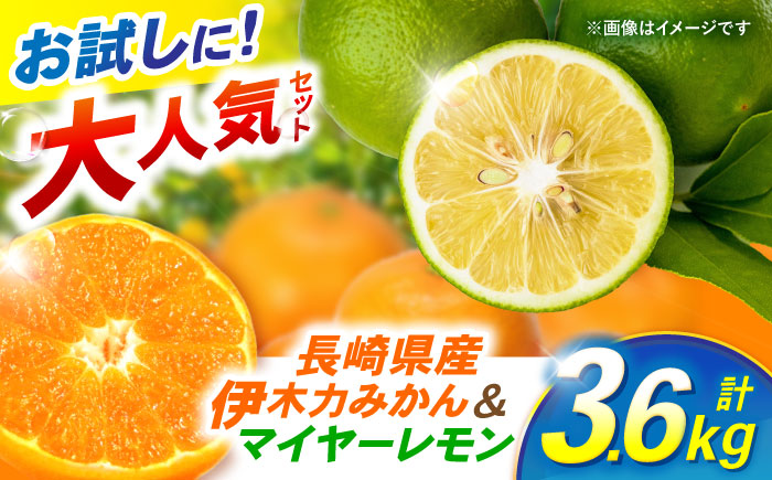 【大人気みかんとレモンのお試しセット】伊木力みかん(家庭用)1.8kg マイヤーレモン1.8kg 計3.6kg / みかん ミカン 蜜柑 mikan 柑橘 かんきつ レモン れもん 檸檬 果汁 果物 / 諫早市 / 山野果樹園 [AHCF016]