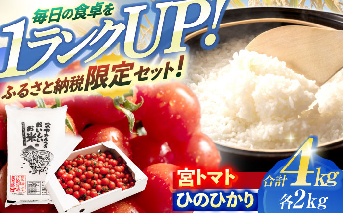 「宮トマト」2kg・特別栽培米「ひのひかり」2kg / トマト とまと ミニトマト プチトマト 野菜 やさい 米 コメ こめ おこめ お米 白米 ひのひかり ヒノヒカリ  / 諫早市 / 株式会社宮下農園[AHCG014]