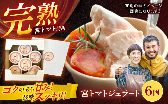宮トマトジェラート 80ml×6個 / ジェラート トマト とまと アイス　アイスクリーム スイーツ / 諫早市 / 宮下農園 [AHCG032]
