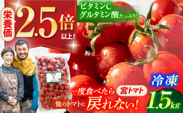 冷凍宮トマト　1.5kg / 冷凍 トマト とまと 野菜 冷凍野菜 ミニトマト / 諫早市 / 宮下農園 [AHCG033]